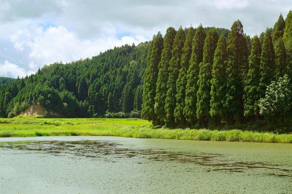 🏞️ 가시바루 습지(가시바루시쓰겐) 이미지 1